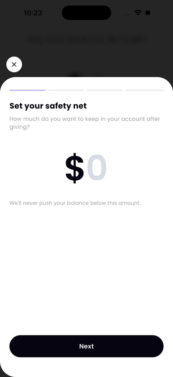 Set Your Safety Net screen